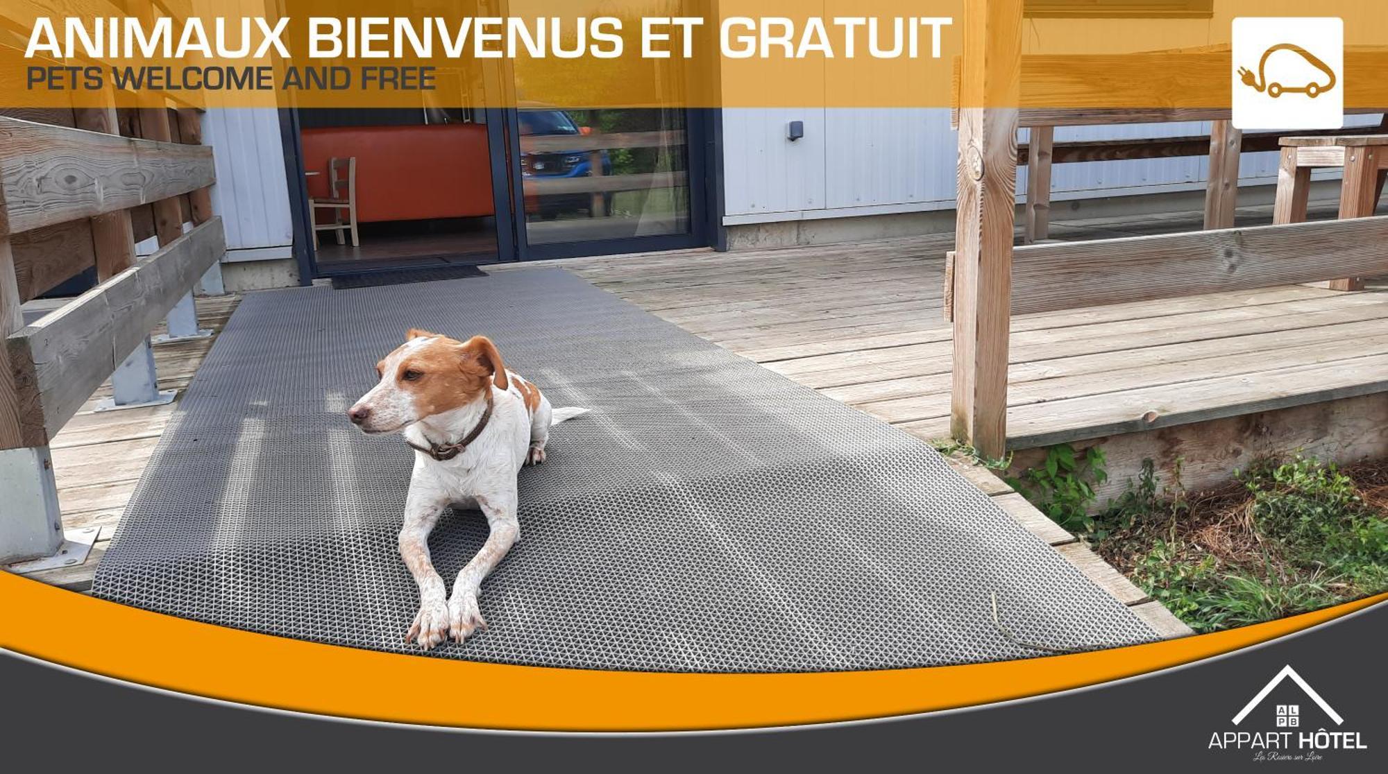 Appart'Hotel Les Pres Blondeau - 1 A 10 Personnes - 3 Chambres - Terrasse - Parking Prive - Wifi Les Rosiers Eksteriør billede